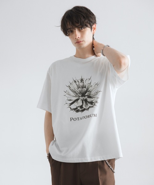 セール】ボタニカルフォトプリントTシャツ（Tシャツ/カットソー