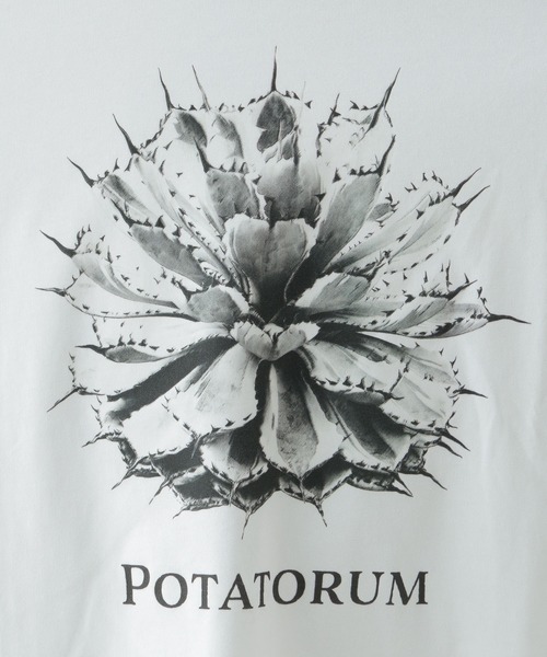 RAGEBLUE(レイジブルー)の「ボタニカルフォトプリントTシャツ(Tシャツ/カットソー・メンズ・ホワイト/ブラック/ベージュ・MEDIUM/LARGE)」の20枚目の写真