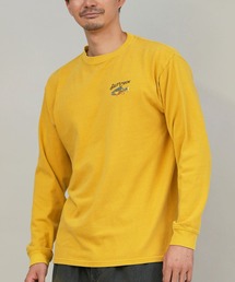 SALTY CREW（ソルティークルー）の「SALTY CREW/ソルティークルー 長袖Tシャツ/ロンT バックプリント 75-060（Tシャツ/カットソー）」