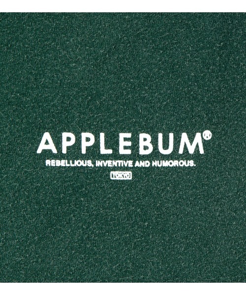 APPLEBUM(アップルバム)の「Bleach L/S T-shirt(Tシャツ/カットソー・メンズ・ブラウン/ネイビー/グリーン/バーガンディー・LARGE/MEDIUM/X-LARGE)」の18枚目の写真