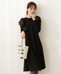 PROPORTION BODY DRESSING | ラッフルＡラインニットワンピ / 1211240115(ワンピース)