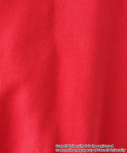 RAGEBLUE(レイジブルー)の「カレッジロゴ/ルーズプルオーバースウェット(スウェット・レディース・レッド/オフホワイト/ライトブルー・FREE)」の17枚目の写真