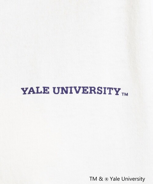 coen(コーエン)の「YALE別注ビッグシルエットTシャツ(Tシャツ/カットソー・レディース・コバルトブルー/オフホワイト/ベージュ/グレー・FREE)」の9枚目の写真