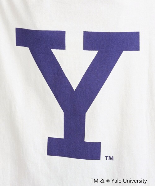 coen(コーエン)の「YALE別注ビッグシルエットTシャツ(Tシャツ/カットソー・レディース・コバルトブルー/オフホワイト/ベージュ/グレー・FREE)」の8枚目の写真