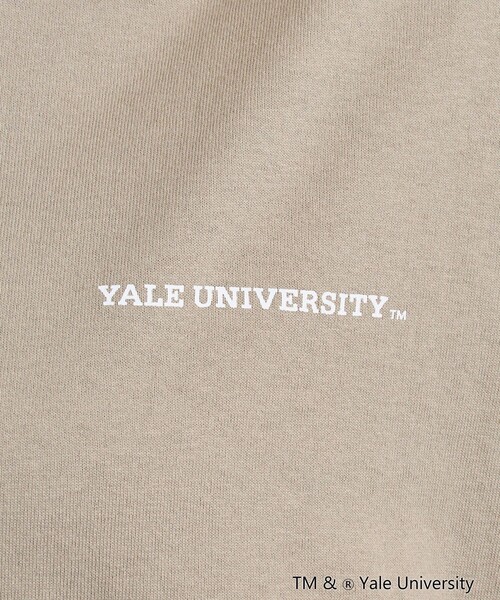 coen(コーエン)の「YALE別注ビッグシルエットTシャツ(Tシャツ/カットソー・レディース・コバルトブルー/オフホワイト/ベージュ/グレー・FREE)」の7枚目の写真