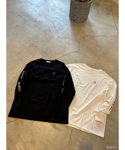 CALNAMUR（カルナムール）の「KOUKAKU LONGSLEEVE TSHIRT（Tシャツ/カットソー・レディース・ホワイト/ブラック・FREE/X-LARGE）」の16枚目の写真