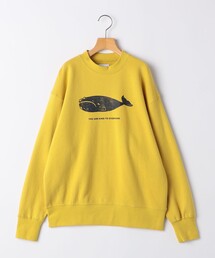 ARCH&LINE:155cm / オーガニック コットン プルオーバー