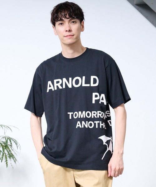 Arnold Palmer(アーノルドパーマー)の「シェア AP ビッグロゴ Tシャツ(Tシャツ/カットソー・レディース・ホワイト/ブラック/ダークブルー・XS/L/LL/M/S)」の2枚目の写真