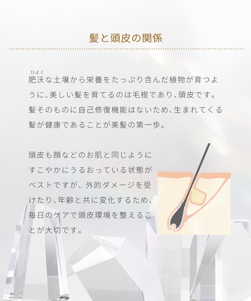 ハウス オブ ローゼ（ハウス オブ ローゼ）の「ハウスオブローゼ / カモマイルド ピュアモイスト シャンプー　300mL（シャンプー・レディース・その他・FREE）」の8枚目の写真