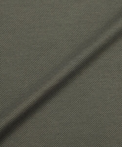 BLACK LABEL CRESTBRIDGE（ブラックレーベル・クレストブリッジ）の「【WEB限定】ガーズマンワッペンスラブポロシャツ（ポロシャツ・メンズ・オフホワイト/ブラック/ピンク系その他2/グリーン系その他7・XL/L/M）」の6枚目の写真