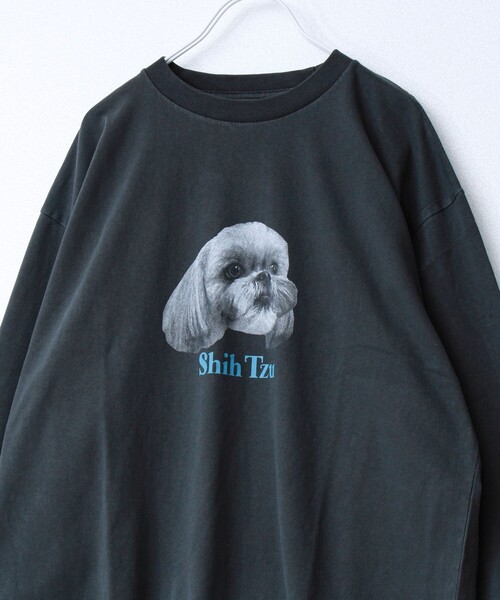 GLOSTER（グロスター）の「【WEB限定】【人気シリーズ】【DOG&CAT】犬猫ピグメントロンT（Tシャツ/カットソー・メンズ・ブラック系その他/ブラック系その他2/ブラック系その他3/ブラック系その他4/ブラック系その他5・S/L/M）」の21枚目の写真