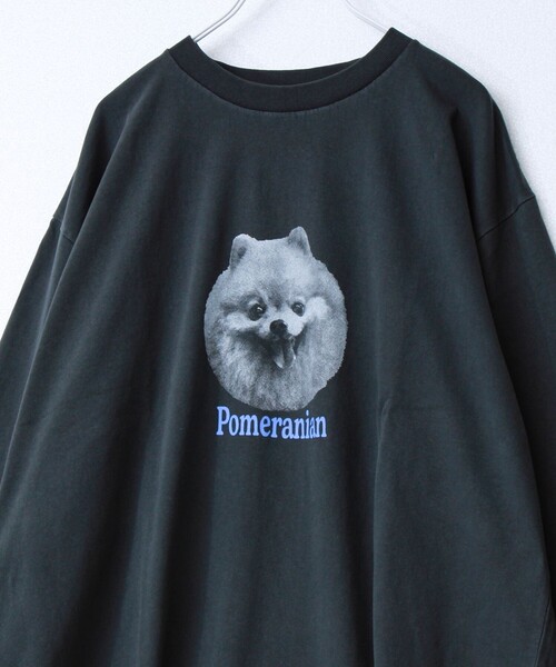 GLOSTER（グロスター）の「【WEB限定】【人気シリーズ】【DOG&CAT】犬猫ピグメントロンT（Tシャツ/カットソー・メンズ・ブラック系その他/ブラック系その他2/ブラック系その他3/ブラック系その他4/ブラック系その他5・S/L/M）」の13枚目の写真