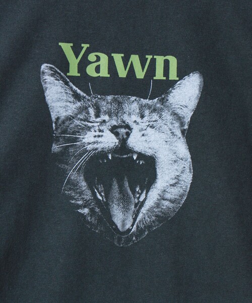 GLOSTER（グロスター）の「【WEB限定】【人気シリーズ】【DOG&CAT】犬猫ピグメントロンT（Tシャツ/カットソー・メンズ・ブラック系その他/ブラック系その他2/ブラック系その他3/ブラック系その他4/ブラック系その他5・S/L/M）」の14枚目の写真