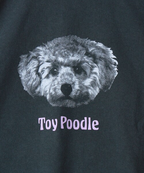 GLOSTER（グロスター）の「【WEB限定】【人気シリーズ】【DOG&CAT】犬猫ピグメントロンT（Tシャツ/カットソー・メンズ・ブラック系その他/ブラック系その他2/ブラック系その他3/ブラック系その他4/ブラック系その他5・S/L/M）」の15枚目の写真