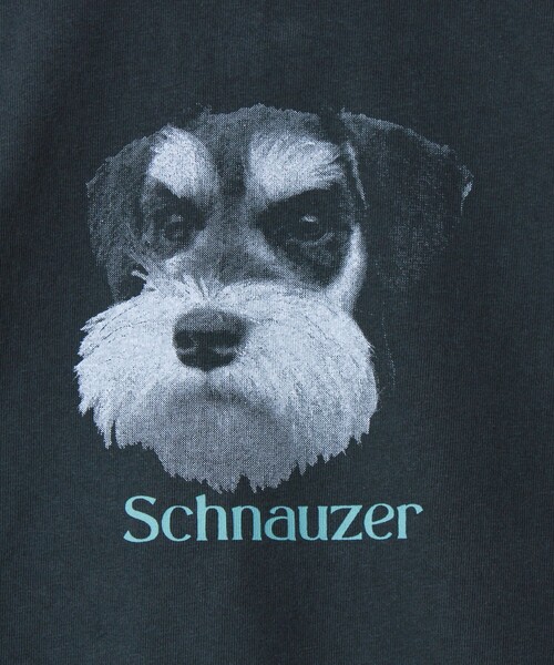 GLOSTER（グロスター）の「【WEB限定】【人気シリーズ】【DOG&CAT】犬猫ピグメントロンT（Tシャツ/カットソー・メンズ・ブラック系その他/ブラック系その他2/ブラック系その他3/ブラック系その他4/ブラック系その他5・S/L/M）」の16枚目の写真