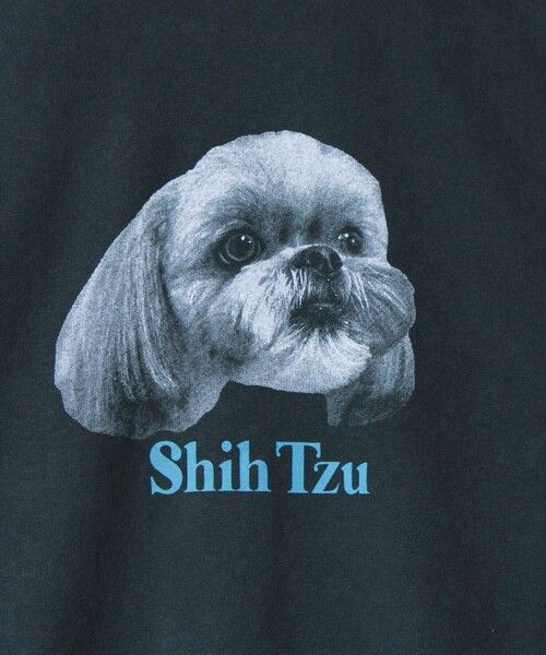GLOSTER（グロスター）の「【WEB限定】【人気シリーズ】【DOG&CAT】犬猫ピグメントロンT（Tシャツ/カットソー・メンズ・ブラック系その他/ブラック系その他2/ブラック系その他3/ブラック系その他4/ブラック系その他5・S/L/M）」の17枚目の写真