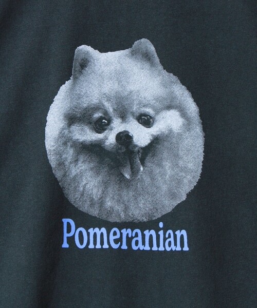 GLOSTER（グロスター）の「【WEB限定】【人気シリーズ】【DOG&CAT】犬猫ピグメントロンT（Tシャツ/カットソー・メンズ・ブラック系その他/ブラック系その他2/ブラック系その他3/ブラック系その他4/ブラック系その他5・S/L/M）」の6枚目の写真