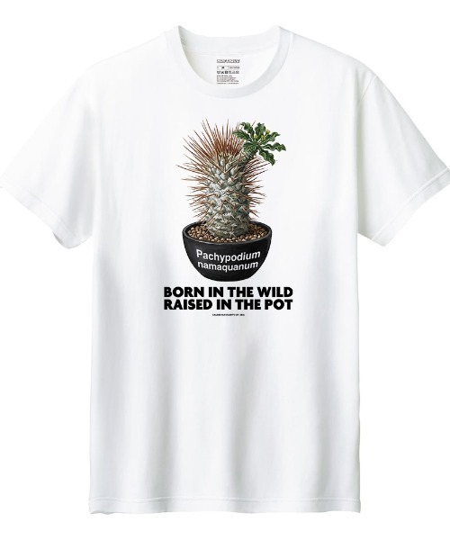 Moftique(モフティック)の「Moftique(モフティック) 半袖Tシャツ パキポディウム ナマクアナム コーデックス 塊根植物 多肉植物 プリント Tシャツ 半袖 トップス カットソー メンズ レディース ユニセックス 夏(Tシャツ/カットソー・メンズ・ホワイト/ブラック・S/M/L/XL/XS)」の2枚目の写真
