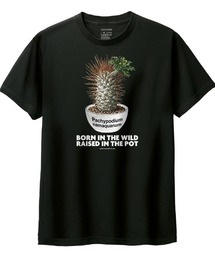 Moftique(モフティック) 半袖Tシャツ パキポディウム ナマクアナム コーデックス 塊根植物 多肉植物 プリント Tシャツ 半袖 トップス カットソー メンズ レディース ユニセックス 夏