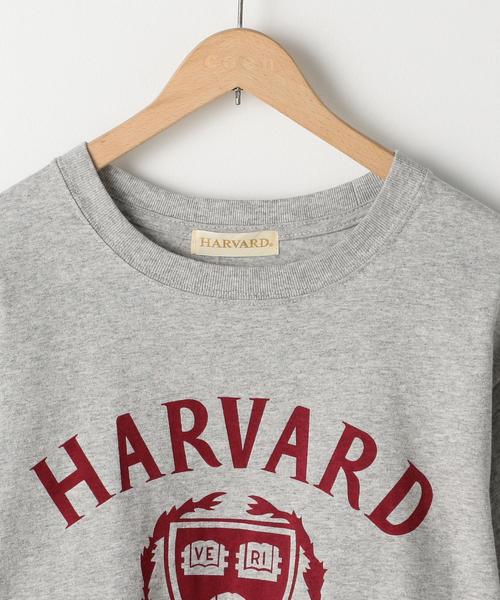 coen（コーエン）の「USAコットンカレッジTシャツ（Tシャツ/カットソー・レディース・ホワイト/グレー/ネイビー・MEDIUM/LARGE）」の18枚目の写真