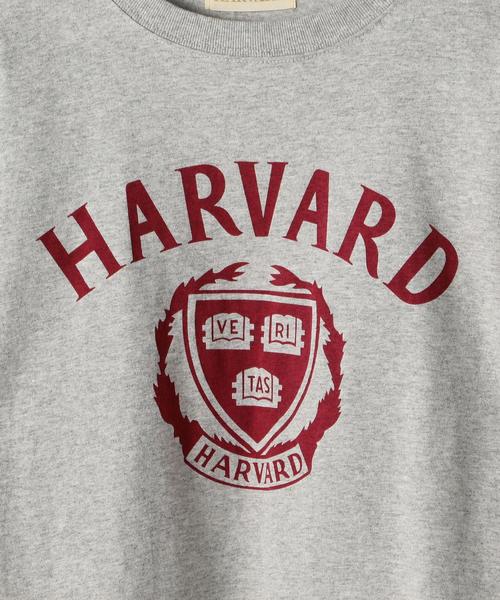 coen（コーエン）の「USAコットンカレッジTシャツ（Tシャツ/カットソー・レディース・ホワイト/グレー/ネイビー・MEDIUM/LARGE）」の15枚目の写真