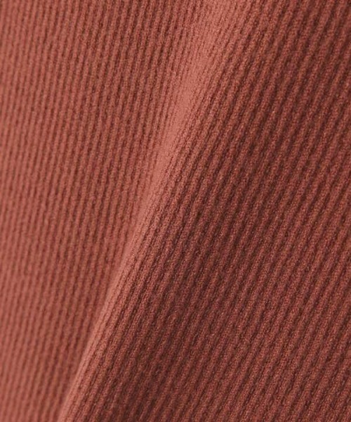 N.（N. Natural Beauty Basic）（エヌエヌナチュラルビューティーベーシック）の「◆メロウリブニット（ニット/セーター・レディース・オフホワイト/ブラック/サーモンピンク・MEDIUM）」の18枚目の写真