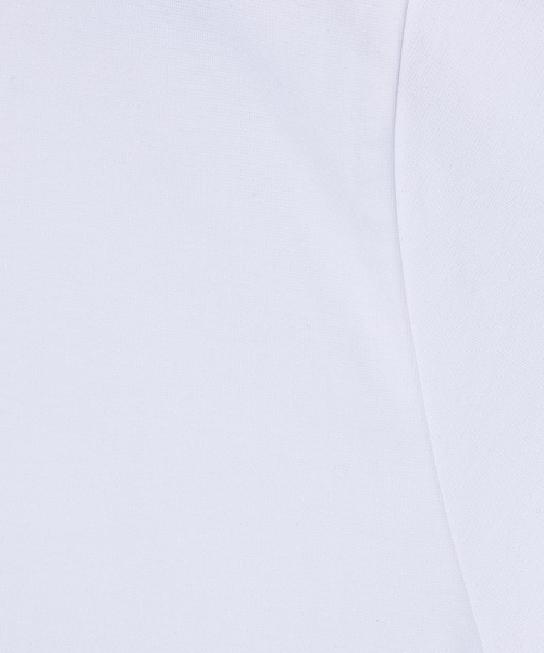 ABAHOUSE GRAY(アバハウスグレイ)の「【リブ付】シルケット ポンチ 半袖 Tシャツ(Tシャツ/カットソー・メンズ・グリーン/グレイッシュベージュ/ブラック/ホワイト/モカ・46/48)」の17枚目の写真