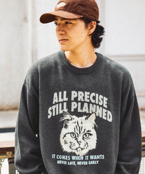 アニマルグラフィックニットプルオーバー（ニット/セーター