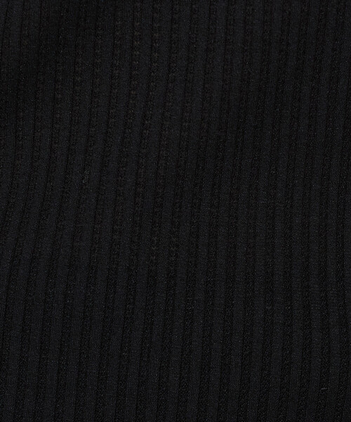Gabardine K.T(ギャバジンケーティー)の「〔 +サイズ 〕 【前後2WAY】シアーストライプジャージ シアーストライプカットソー(Tシャツ/カットソー・レディース・サックスブルー/オフホワイト・13号)」の14枚目の写真