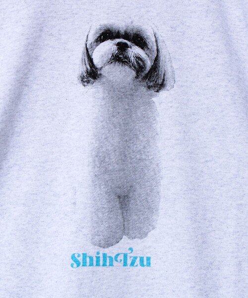 GLOSTER（グロスター）の「【新デザイン】【DOG&CAT】NEW犬猫ロンT（Tシャツ/カットソー・メンズ・グレー系その他2/グレー系その他/グレー系その他7/グレー系その他5/グレー系その他6/グレー系その他4/グレー系その他3・L/S/M）」の16枚目の写真