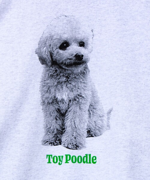 GLOSTER（グロスター）の「【新デザイン】【DOG&CAT】NEW犬猫ロンT（Tシャツ/カットソー・メンズ・グレー系その他2/グレー系その他/グレー系その他7/グレー系その他5/グレー系その他6/グレー系その他4/グレー系その他3・L/S/M）」の17枚目の写真