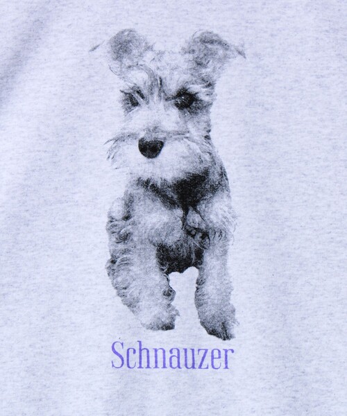 GLOSTER（グロスター）の「【新デザイン】【DOG&CAT】NEW犬猫ロンT（Tシャツ/カットソー・メンズ・グレー系その他2/グレー系その他/グレー系その他7/グレー系その他5/グレー系その他6/グレー系その他4/グレー系その他3・L/S/M）」の18枚目の写真