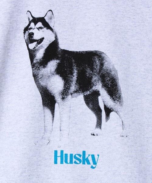 GLOSTER（グロスター）の「【新デザイン】【DOG&CAT】NEW犬猫ロンT（Tシャツ/カットソー・メンズ・グレー系その他2/グレー系その他/グレー系その他7/グレー系その他5/グレー系その他6/グレー系その他4/グレー系その他3・L/S/M）」の19枚目の写真