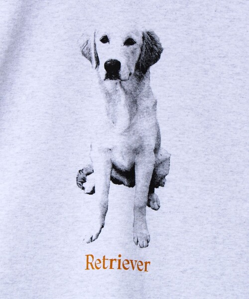 GLOSTER（グロスター）の「【新デザイン】【DOG&CAT】NEW犬猫ロンT（Tシャツ/カットソー・メンズ・グレー系その他2/グレー系その他/グレー系その他7/グレー系その他5/グレー系その他6/グレー系その他4/グレー系その他3・L/S/M）」の20枚目の写真