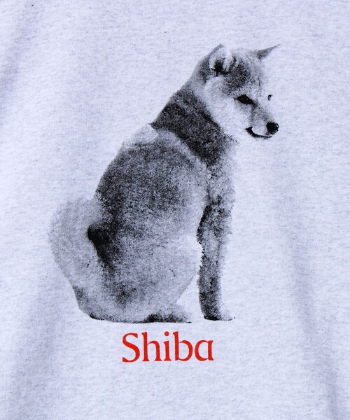 GLOSTER（グロスター）の「【新デザイン】【DOG&CAT】NEW犬猫ロンT（Tシャツ/カットソー・メンズ・グレー系その他2/グレー系その他/グレー系その他7/グレー系その他5/グレー系その他6/グレー系その他4/グレー系その他3・L/S/M）」の21枚目の写真