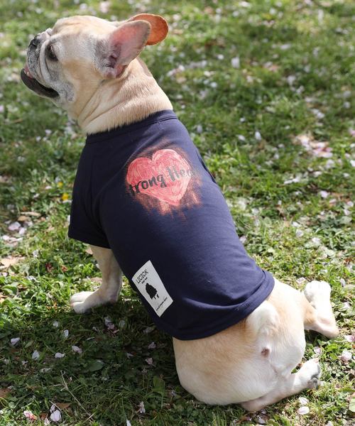 LICICK�i���V�b�N�j�́u�yLICICK�z���p�v�����gT�V���c�y�h�b�O�E�F�A�z�I���W�i���n���K�[�t���i�y�b�g�O�b�Y�j�v�b�u���[�n���̑�