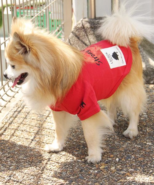 LICICK�i���V�b�N�j�́u�yLICICK�z���p�v�����gT�V���c�y�h�b�O�E�F�A�z�I���W�i���n���K�[�t���i�y�b�g�O�b�Y�j�v�b���b�h�n���̑�