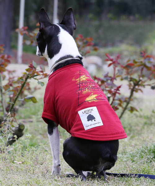 LICICK�i���V�b�N�j�́u�yLICICK�z���p�v�����gT�V���c�y�h�b�O�E�F�A�z�I���W�i���n���K�[�t���i�y�b�g�O�b�Y�j�v�b���b�h