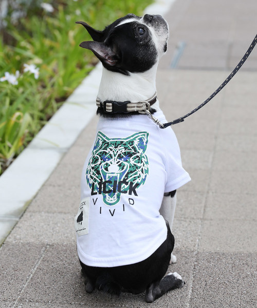 LICICK�i���V�b�N�j�́u�yLICICK�z���p�v�����gT�V���c�y�h�b�O�E�F�A�z�I���W�i���n���K�[�t���i�y�b�g�O�b�Y�j�v�b�z���C�g�n���̑�2