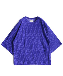 VELOUR LOGO JQ S/S BIG-T