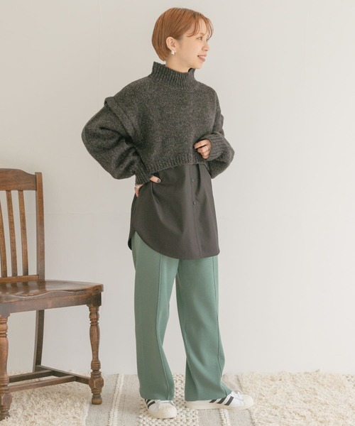 ITEMS URBANRESEARCH(アイテムズ アーバンリサーチ)の「ハイネックショートニット(ニット/セーター・レディース・チャコールグレー/グレー/グリーン・FREE)」の19枚目の写真