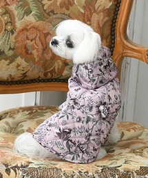 LAURA ASHLEY([AVC)LAURA ASHLEY/t[htȃxXgver23(ybgEFA)