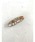 tone�i�g�[���j�́u�ypetit bijou_ma_ha�z�I���W�i���w�A�N���b�v�i�o���b�^/�w�A�N���b�v�j�v�b���̑�2
