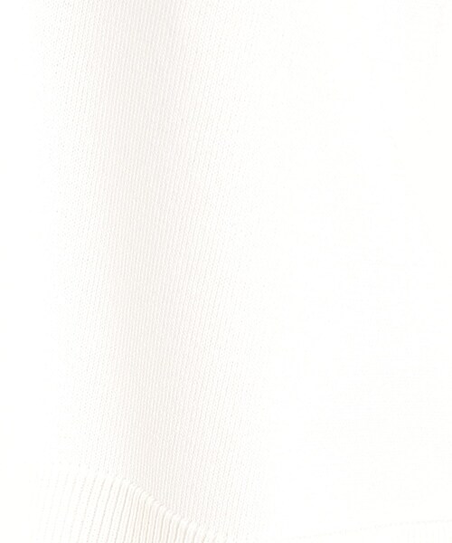 THE SHOP TK （ザ ショップ ティーケー ）の「【毛玉になりにくい】さらっとキレイVネックニット/洗濯機OK（ニット/セーター・レディース・アイボリー/サックスブルー/ブラック/ピンク系1/ライトグレー・12/13）」の20枚目の写真