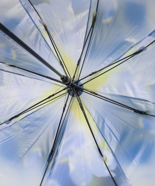 Afternoon Tea（アフタヌーンティー）の「フラワー＆スカイクリア長傘 雨傘（長傘・レディース・ブルー・ONE SIZE）」の5枚目の写真