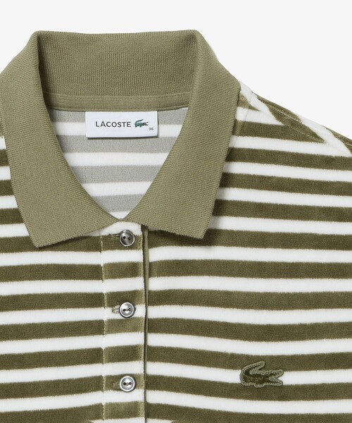 LACOSTE（ラコステ）の「ベロアボーダー半袖ポロシャツ（ポロシャツ・レディース・オリーブ/ネイビー・34/36/38/40）」の21枚目の写真