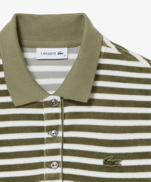LACOSTE（ラコステ）の「ベロアボーダー半袖ポロシャツ（ポロシャツ・レディース・オリーブ/ネイビー・34/36/38/40）」の12枚目の写真