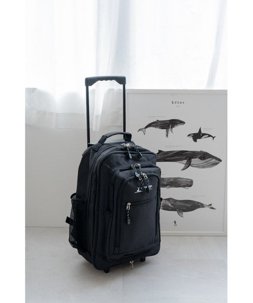 リュックキャリー Amazon.co.jp: トラベルバックパック - キャビンリュックサック