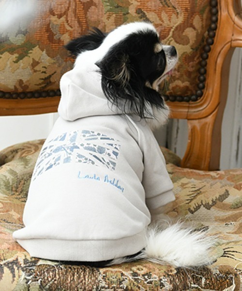 Laura day romance 　グレー パーカー Lサイズ Laura day romance、THEティバ、Mississippi Khaki HairのVo. 3