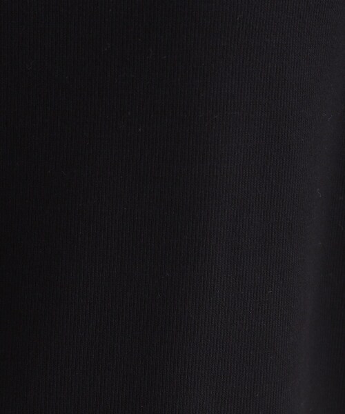 【セール】【洗える／UVケア／SETUP可能】ライトジャージ ボトルネックトップス（Tシャツ/カットソー）｜INDIVI（インディヴィ）